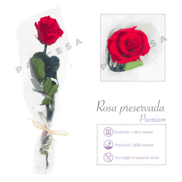 Flor del Recuerdo preservada. Rosa roja | TIENDA PARCESA